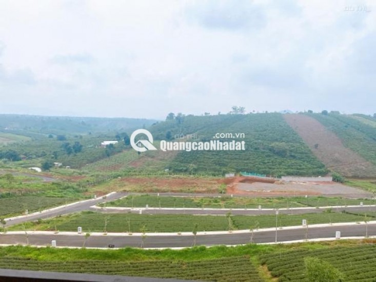 Bán rẻ lô đất thổ cư - cạnh Làng Pháp Bảo Lộc siêu hot